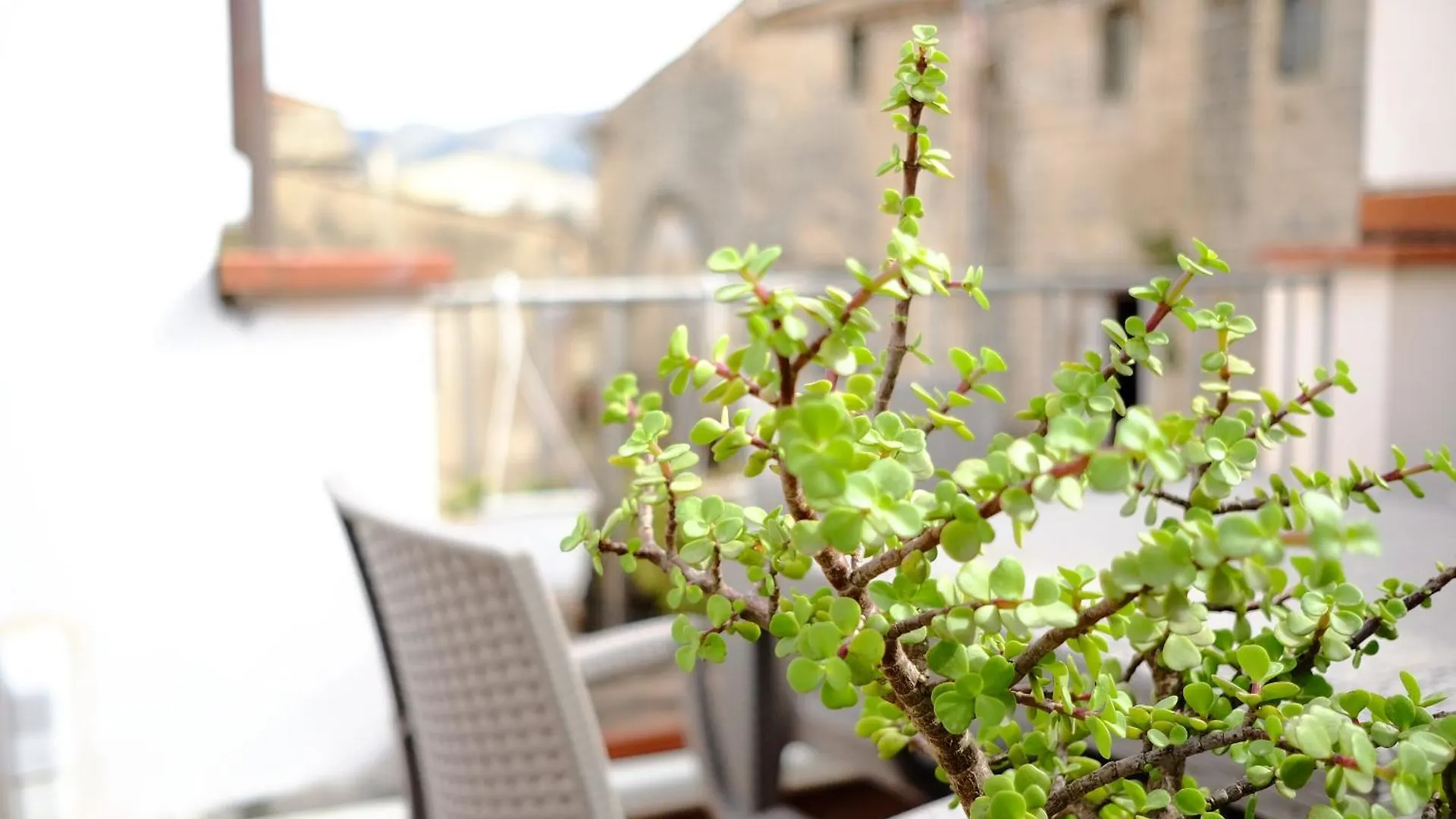 Maison Al Massimo - City Center Full Apartment Palermo