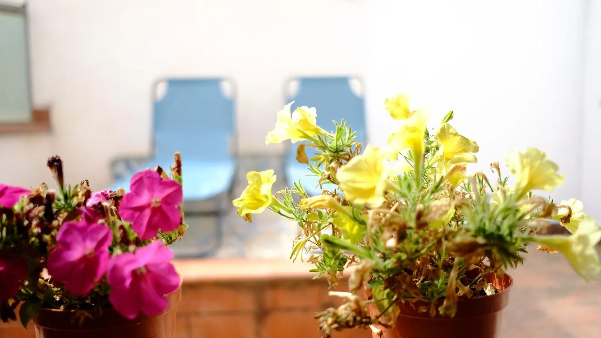 Maison Al Massimo - City Center Full Apartment Palermo